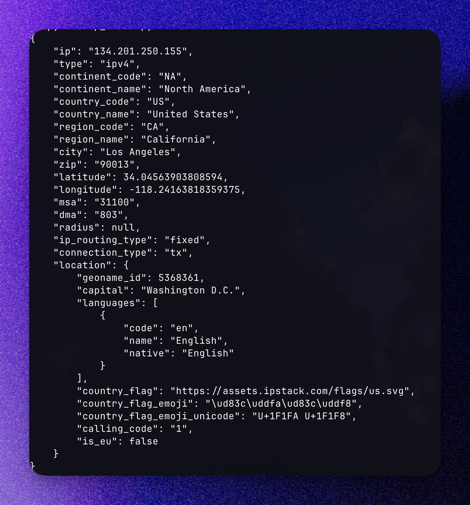 IP Stack Outout