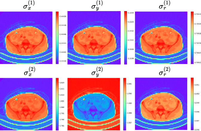 Visualization of the spatially varying standard deviation maps from F2N-S2.