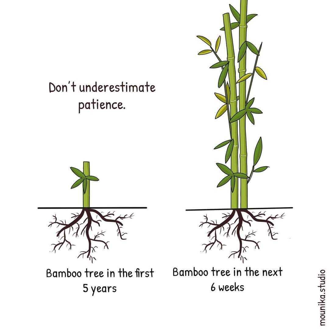 I've always loved this image about growth.