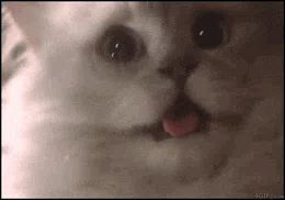 Introdução à Programação Orientada a Objetos com Dart (usando gatinhos 🐱)