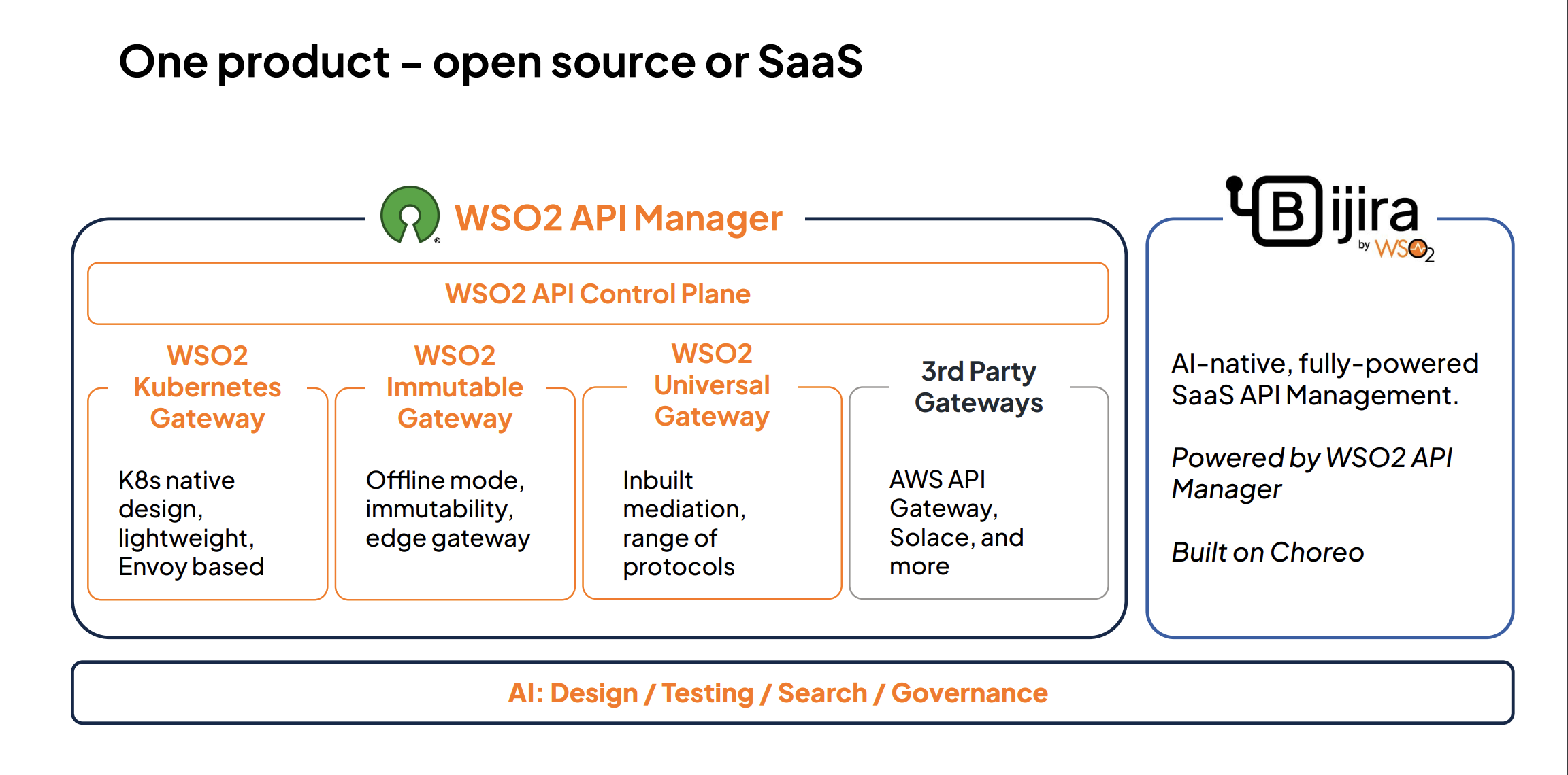 Universal API Governance