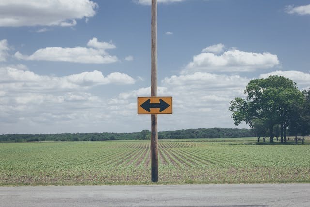 Use Case Matchups: Native vs Framework by Project Type