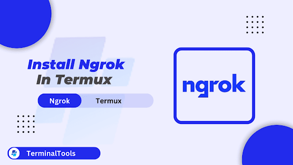 Ngrok in Termux: Learn How to Install and Use it