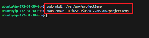 Web root dir