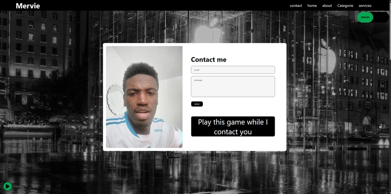 my web-site portfolio