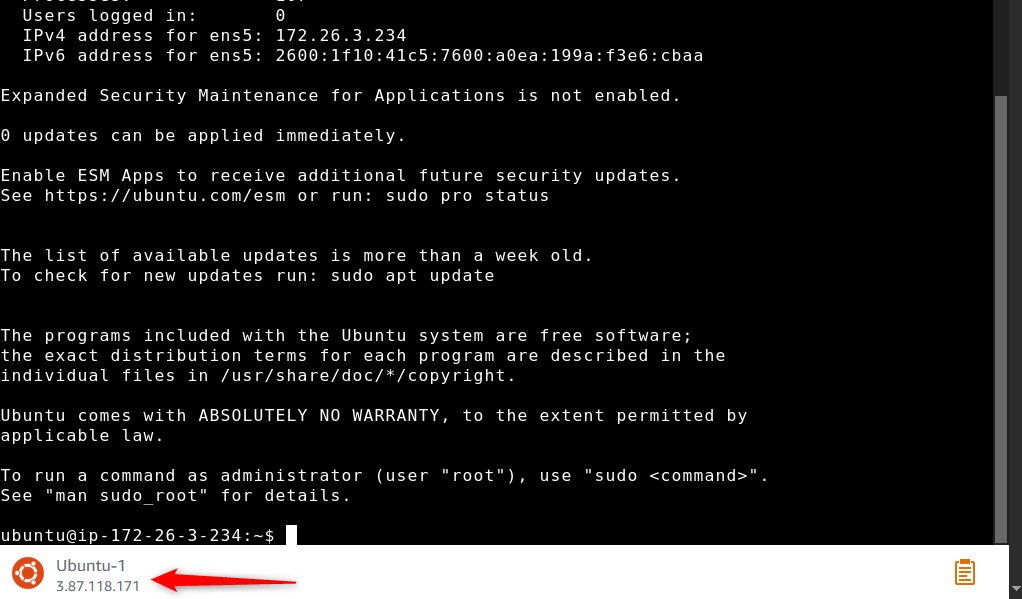 Lightsail Instance Terminal