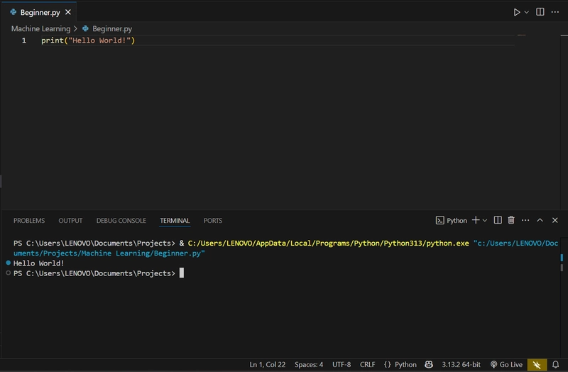 Just wrote my very first Python program!