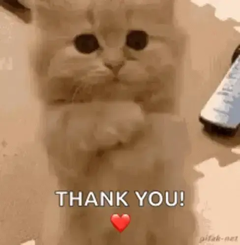 Thank you