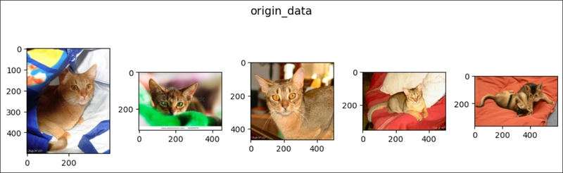 RandomResizedCrop in PyTorch (1)