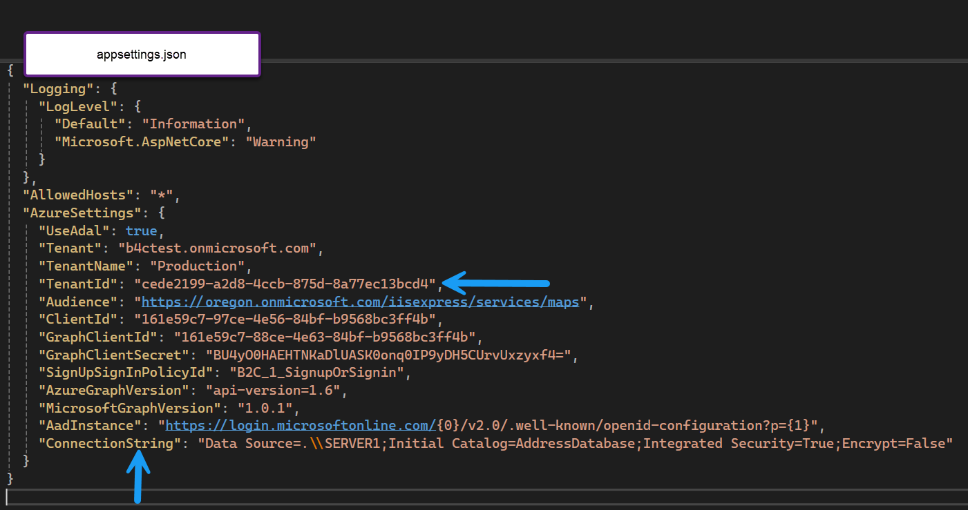 appsettings.json pointing to focused properties
