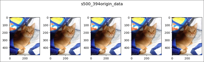 RandomCrop in PyTorch (3)