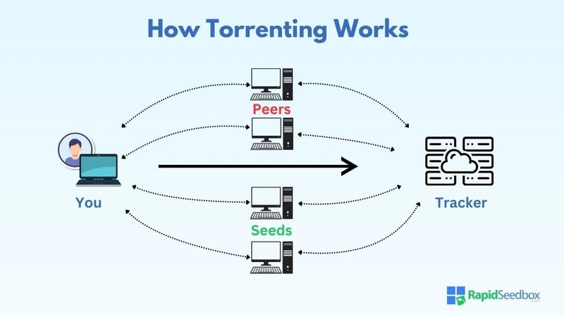 Understanding Torrents: A Beginner’s Guide