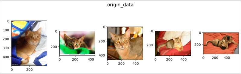 CenterCrop in PyTorch