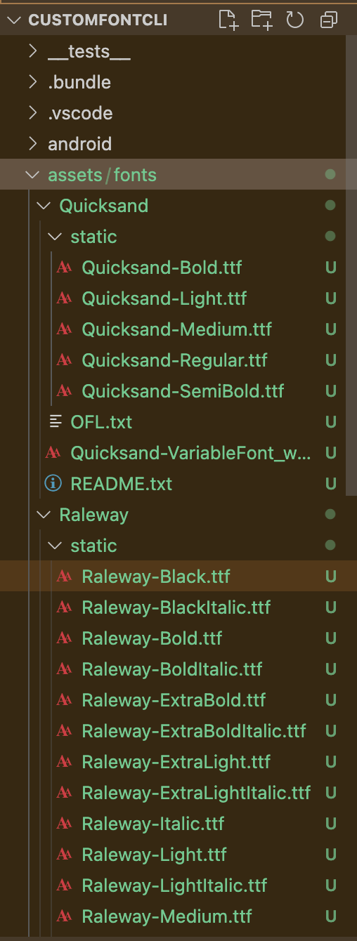 pasting ttf files into project