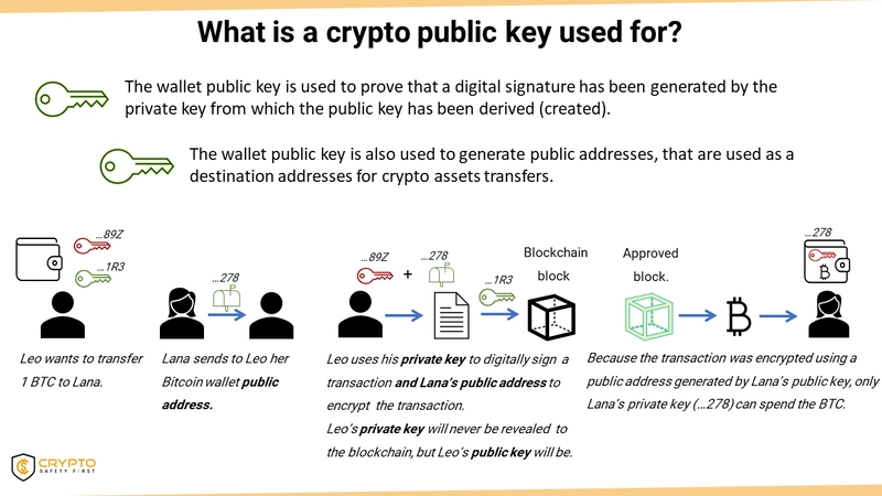 The Role of Private and Public Keys in Blockchain Technology