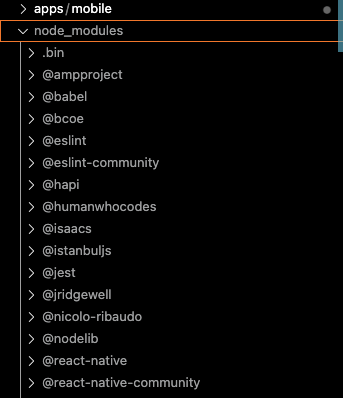 dependencies in root node_modules folder