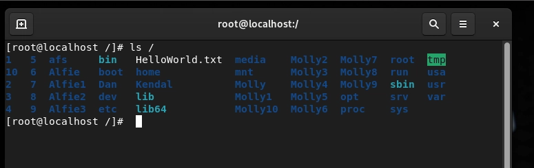 Linux Commands You Should Avoid Like the Plague (Especially in Red Hat RHEL9)