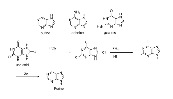 The Cytotoxic Potential of the Purine Analogs: A Comprehensive Review of Therapeutic Applications