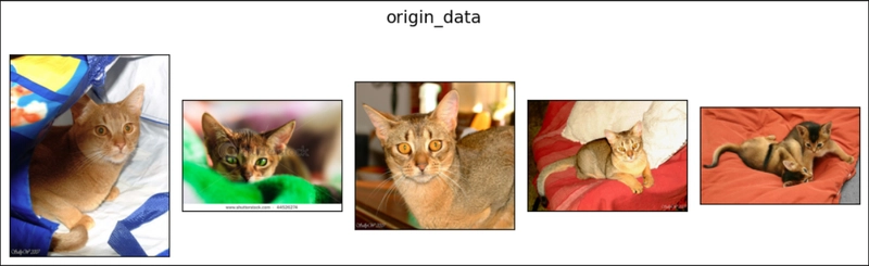 Compose in PyTorch