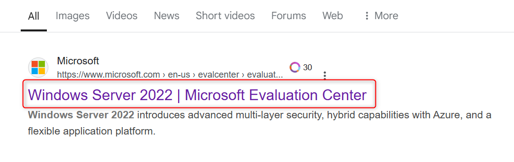 searching Windows Server 2022