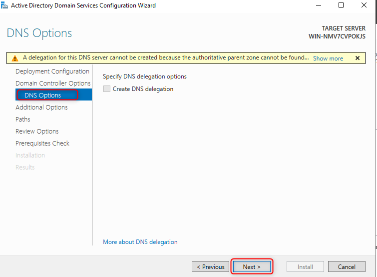 DNS Options