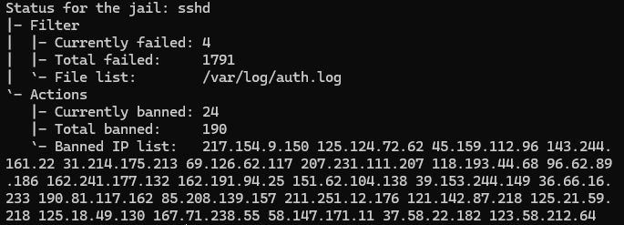 Protect your Virtual Machine with Fail2ban