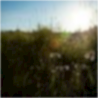 feGaussianBlur