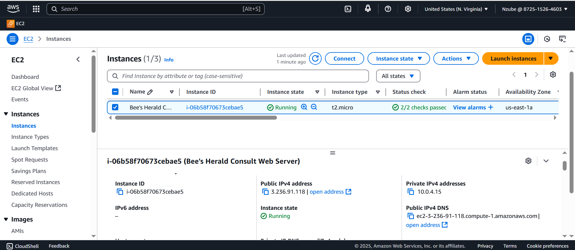 Instance running