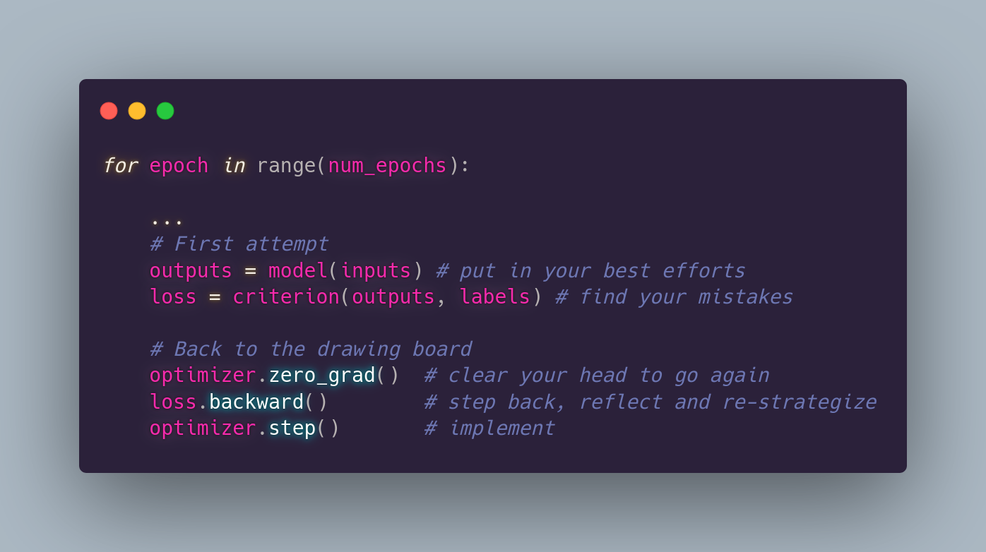 Code snippet for training a model using pyTorch