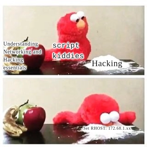 Noobies
