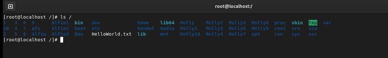 Why Linux Town Is the Best Place to Lose (and Find) Your Files?