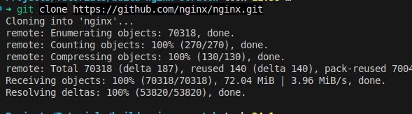Building and Modifying NGINX from Source on Ubuntu: A Deep Dive