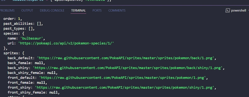 Building a Sequential Data Fetching API with JavaScript