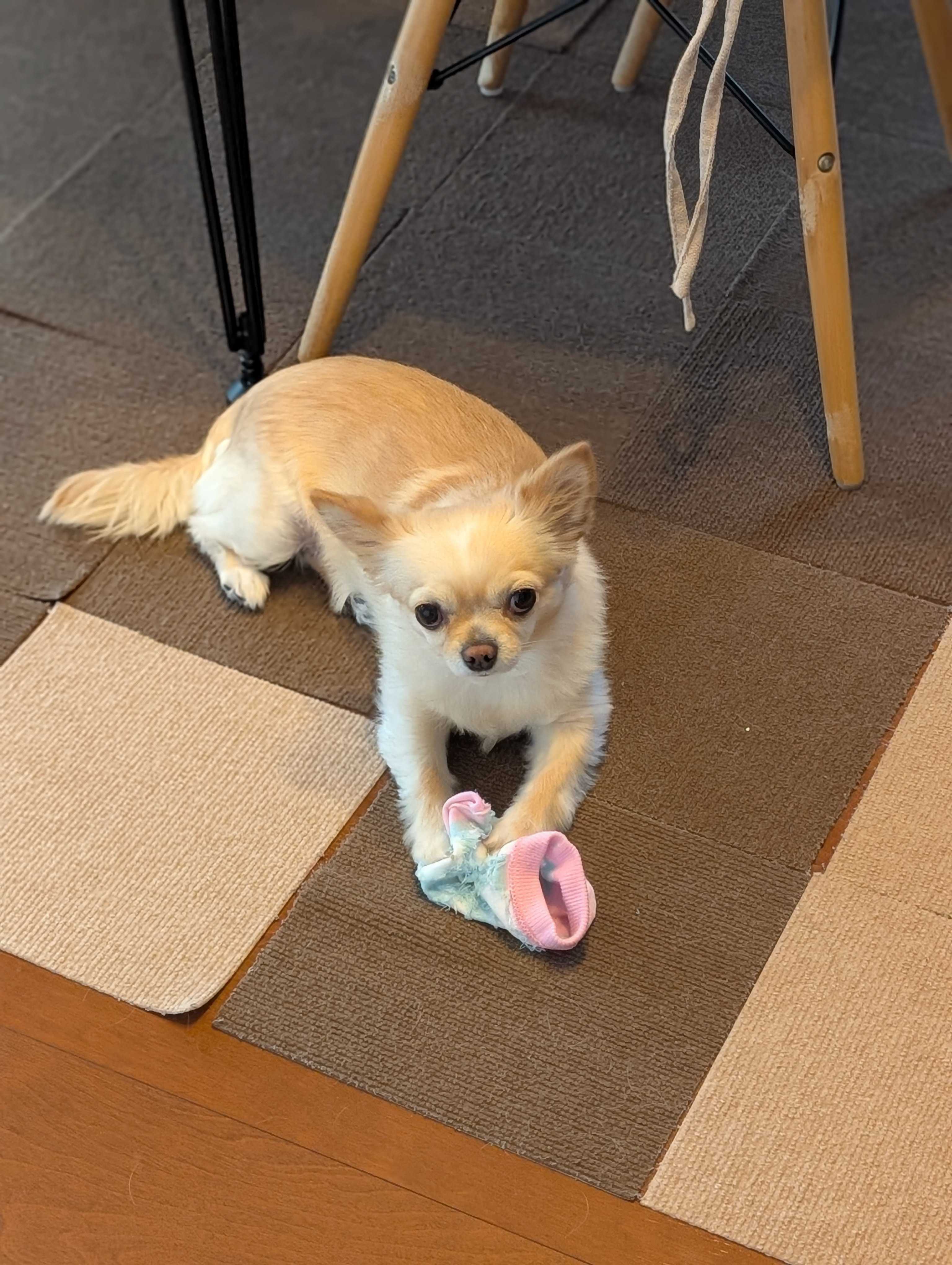 sample_image