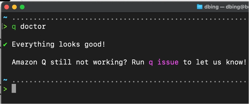 How a 12 year old built a game with Amazon Q Developer CLI.