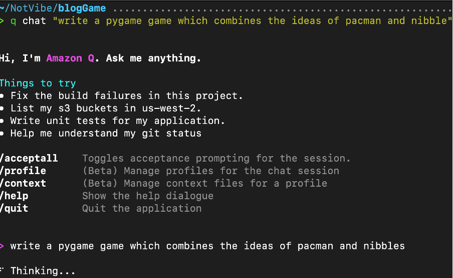 First Q Dev CLI output