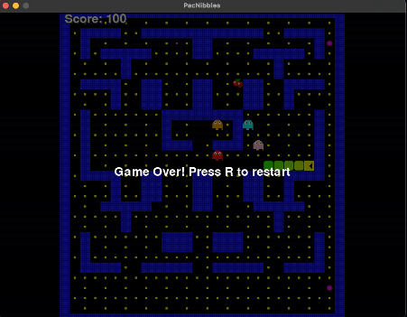 The final pacnibbles game