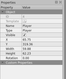 Editing The Player's Name And Type