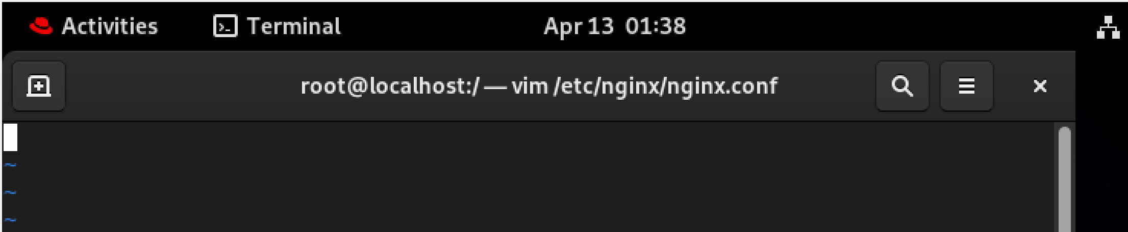 VIM Terminal