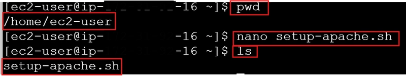 Automate Your EC2 Setup Using AWS CLI and User Data