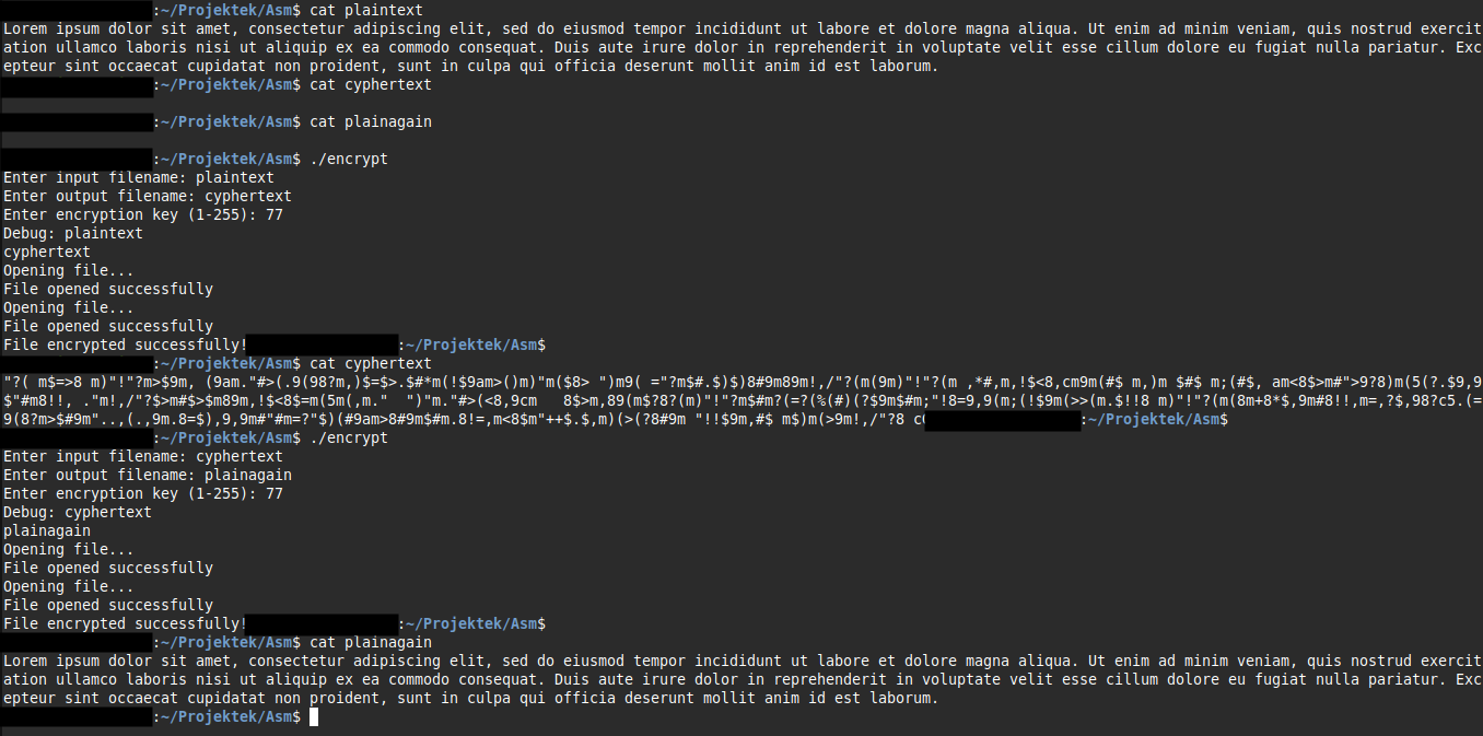 assembler encryption
