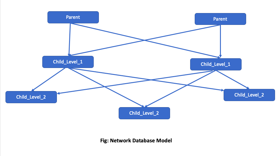 Network Data Model