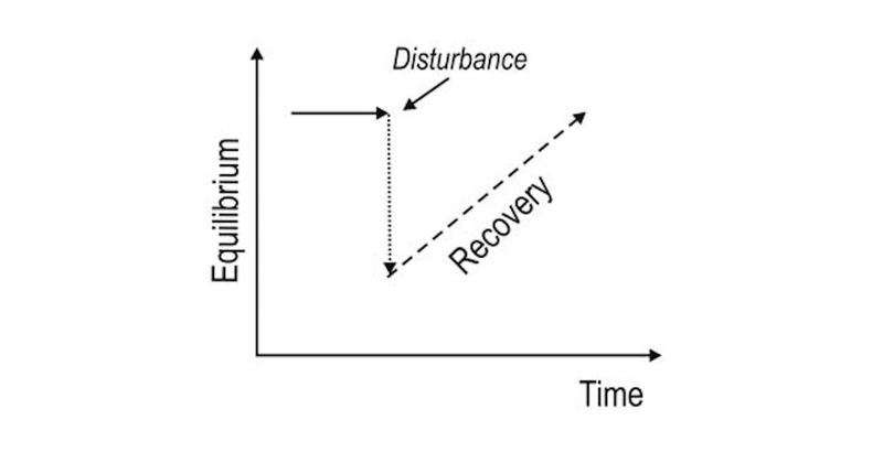 Resiliency in Distributed Systems