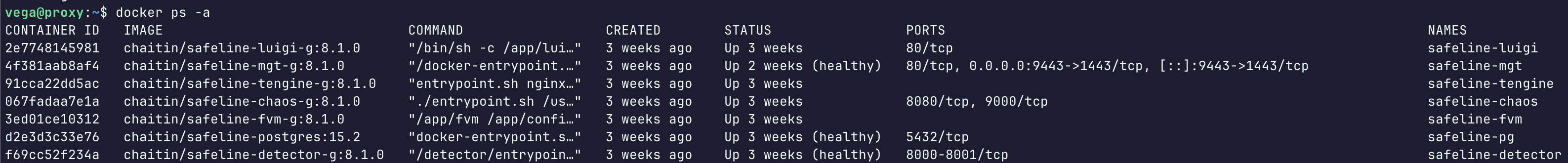 Docker Compose Launch - Terminal showing the containers being created