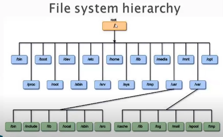 Mastering the Backbone of Linux: The File System Structure You Must Know