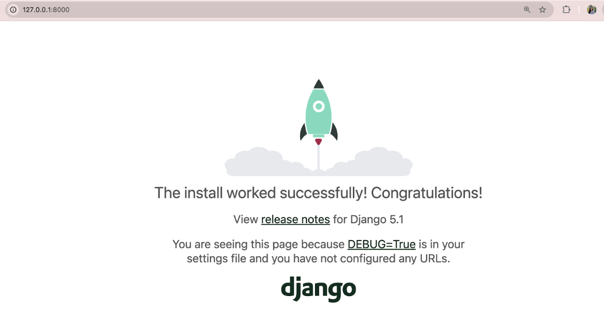 Successful Django package download
