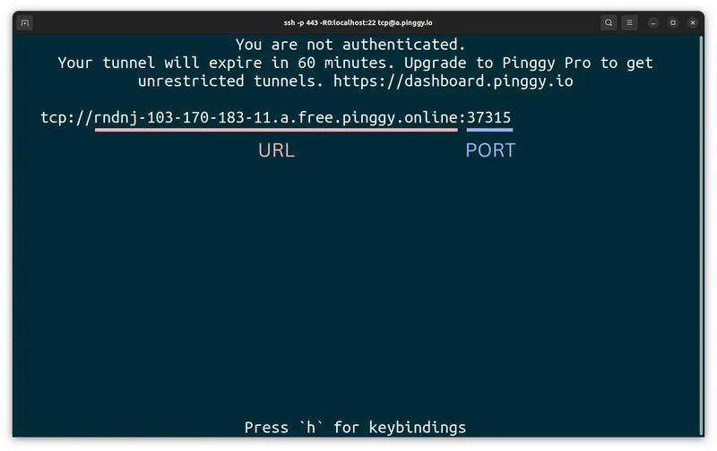 Bypassing Port Forwarding Restrictions on T-Mobile Home Internet Using Pinggy