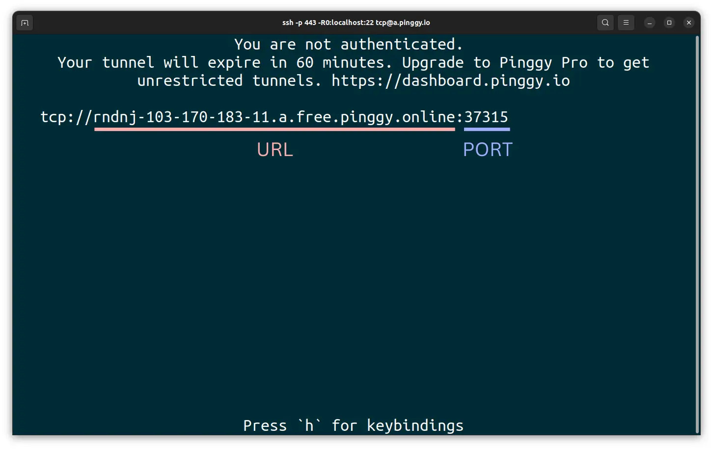 TPC Port forwarding