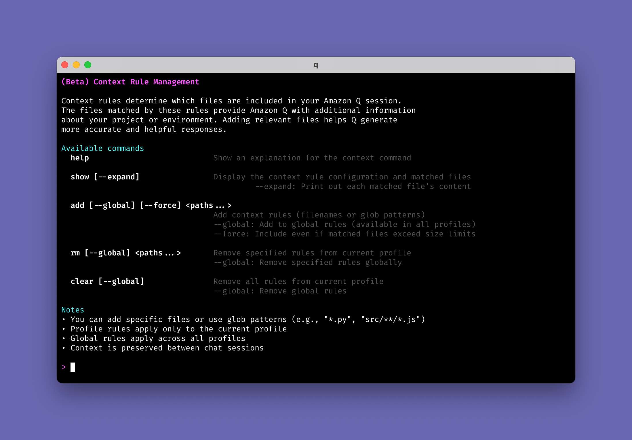 Screenshot of a terminal window showing amazon Q and the result of the /context command