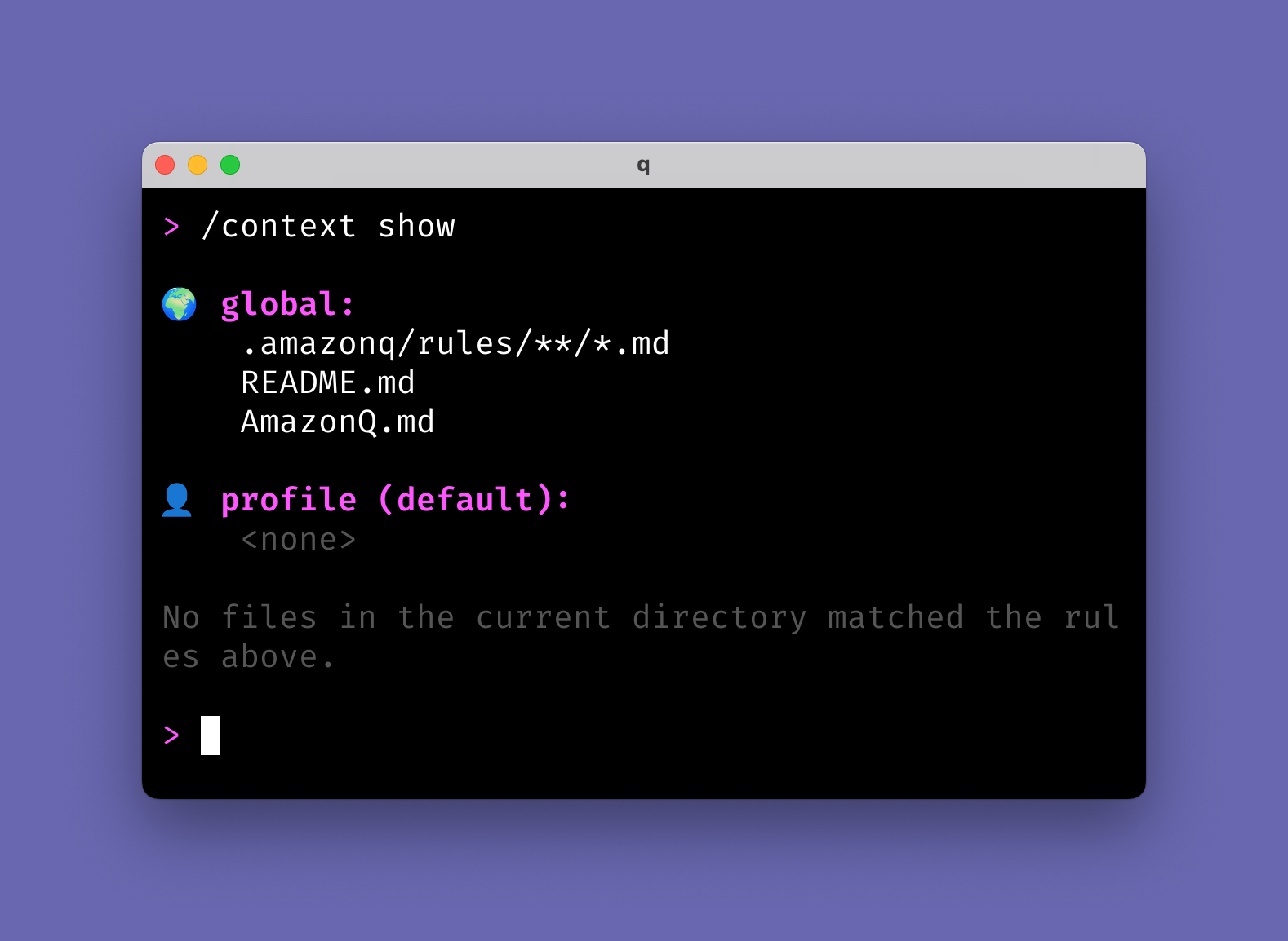 Screenshot of a terminal window showing amazon q and showing more details of the /context show command